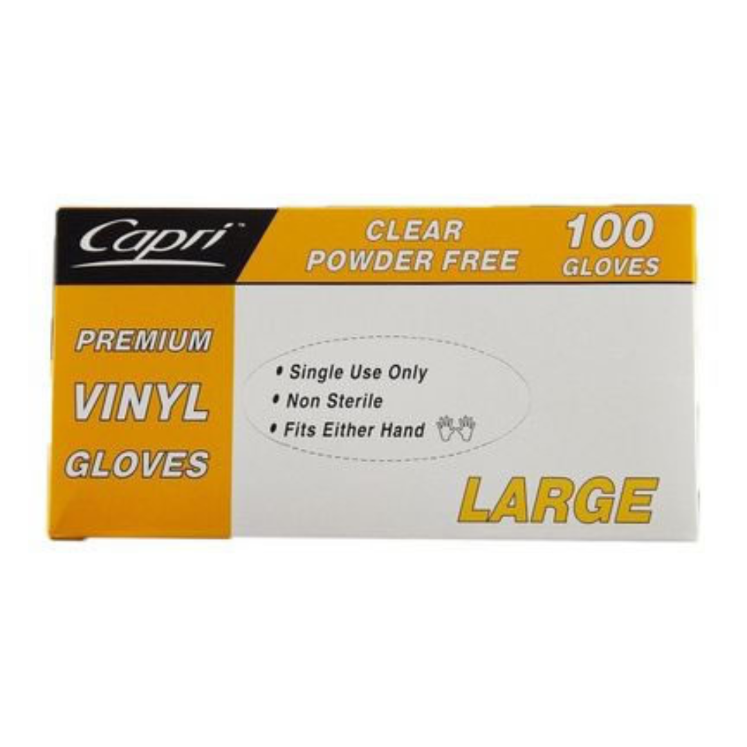 Gloves Powder Free L 100pc